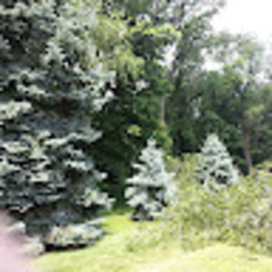 Meet your Posher, Jeanne